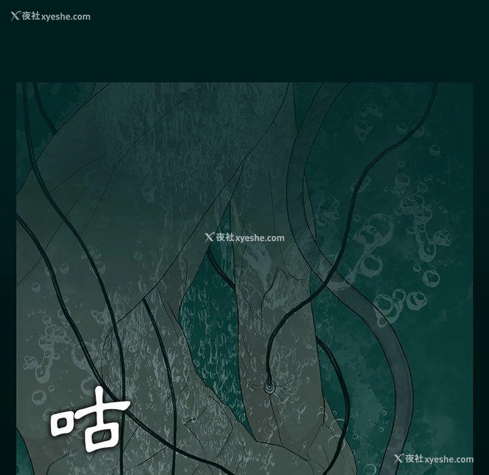 54P - 野狗