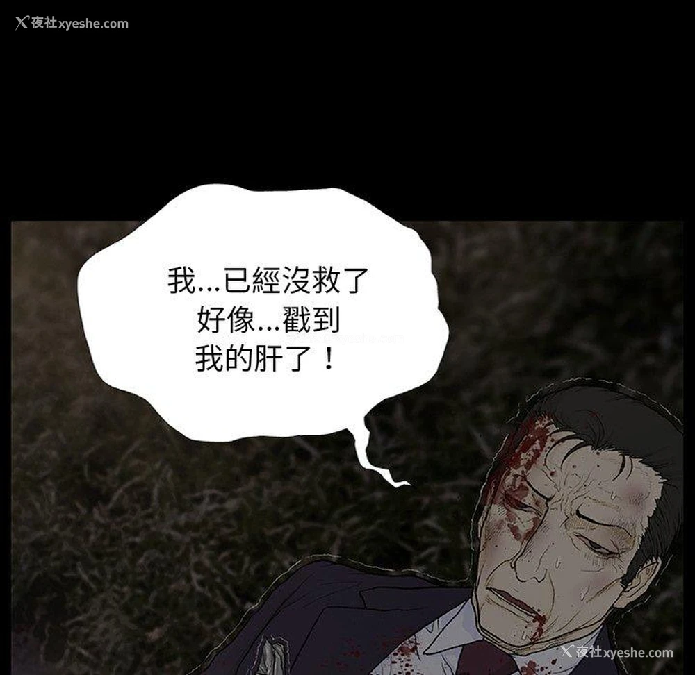 43P - 野狗