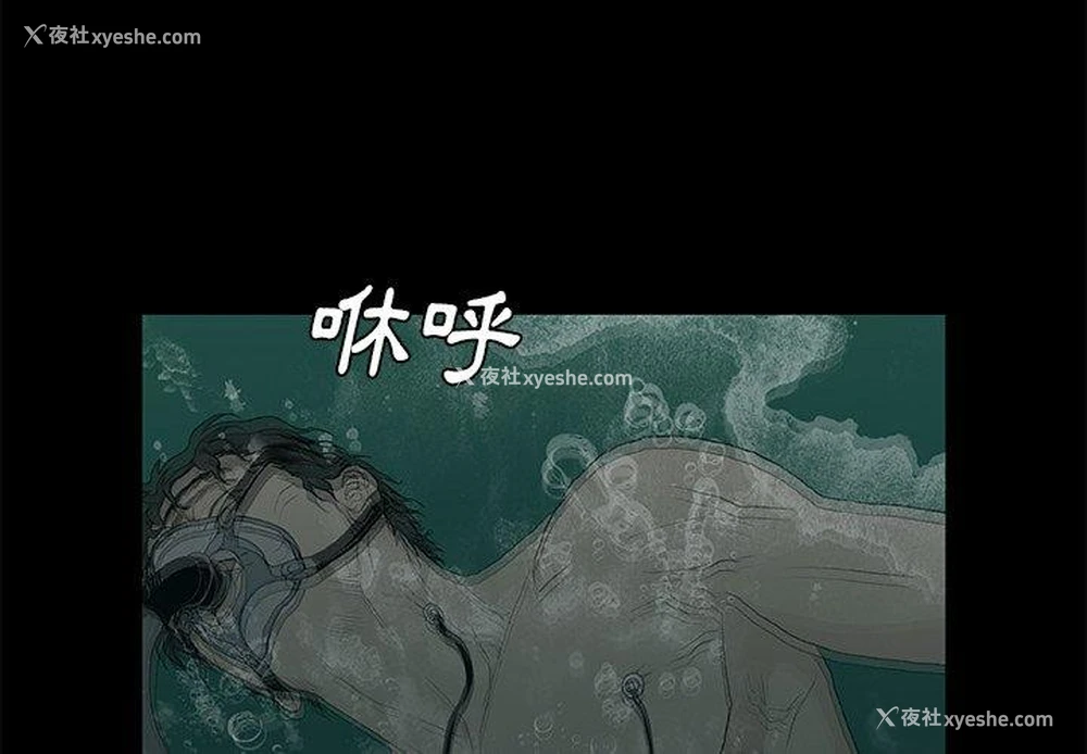 5P - 野狗