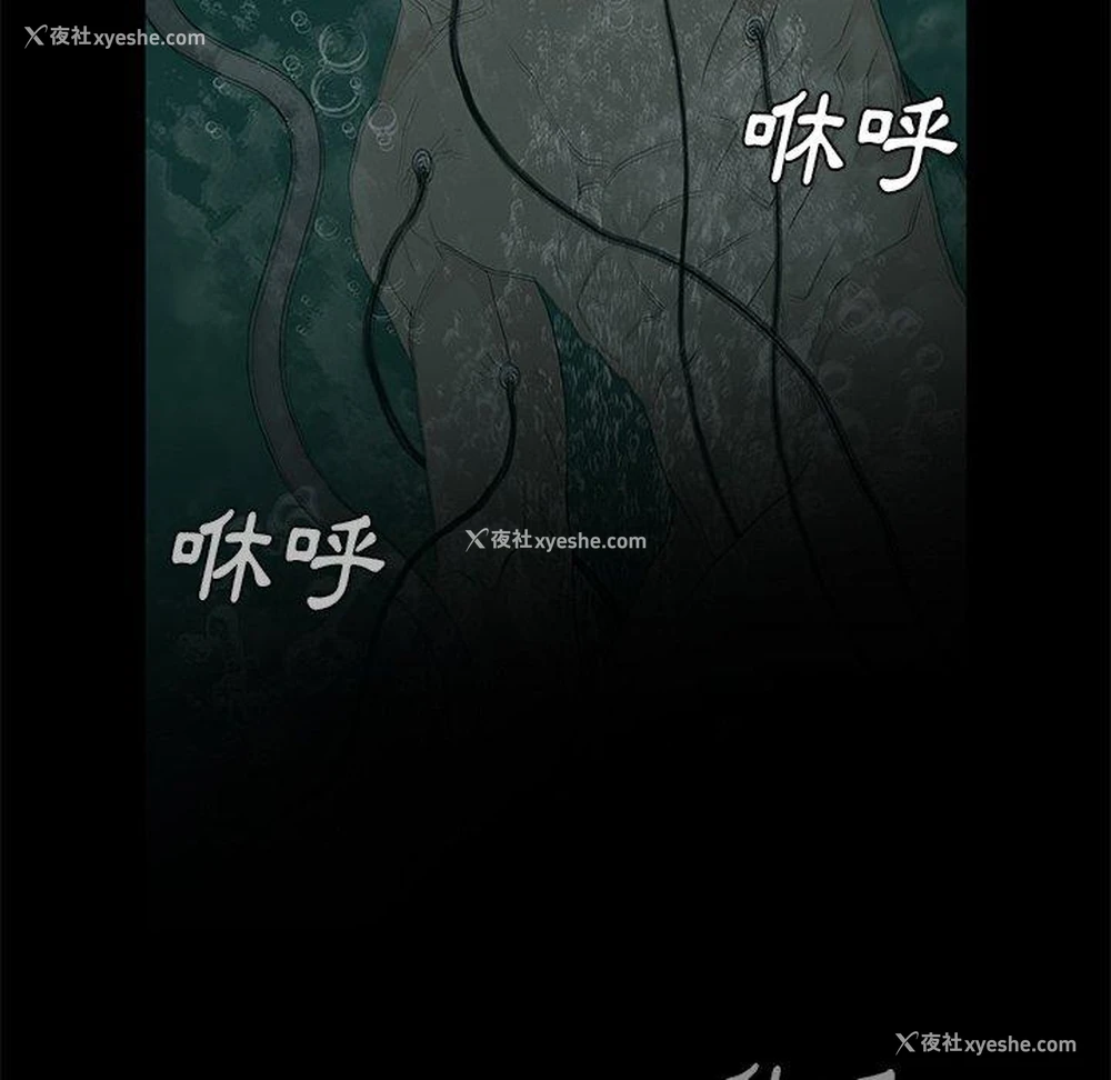 6P - 野狗