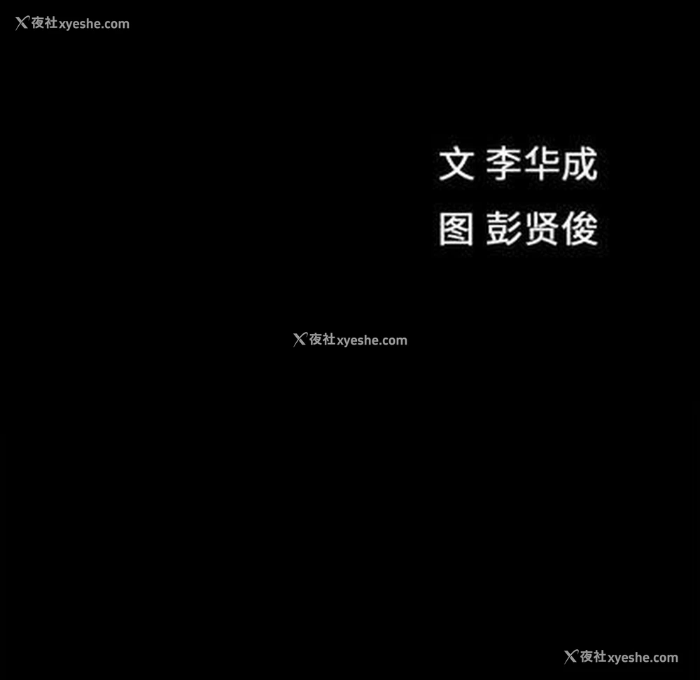 12P - 特殊礼物