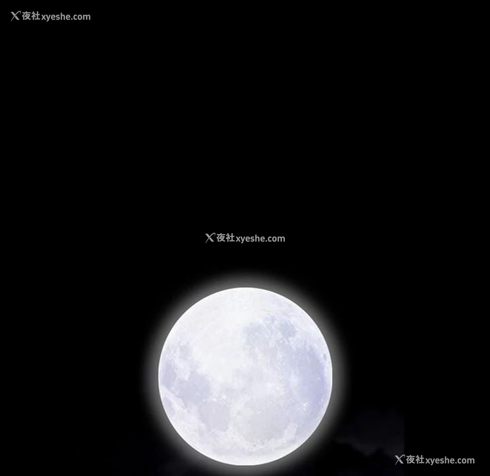 11P - 特殊礼物