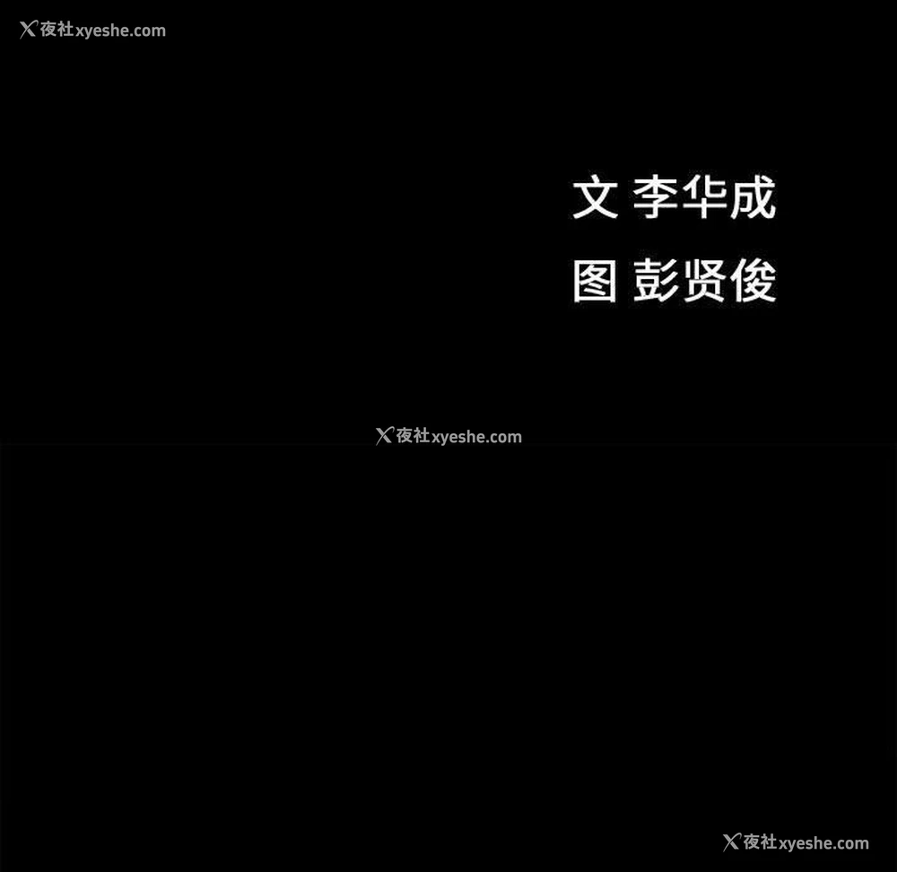 12P - 特殊礼物