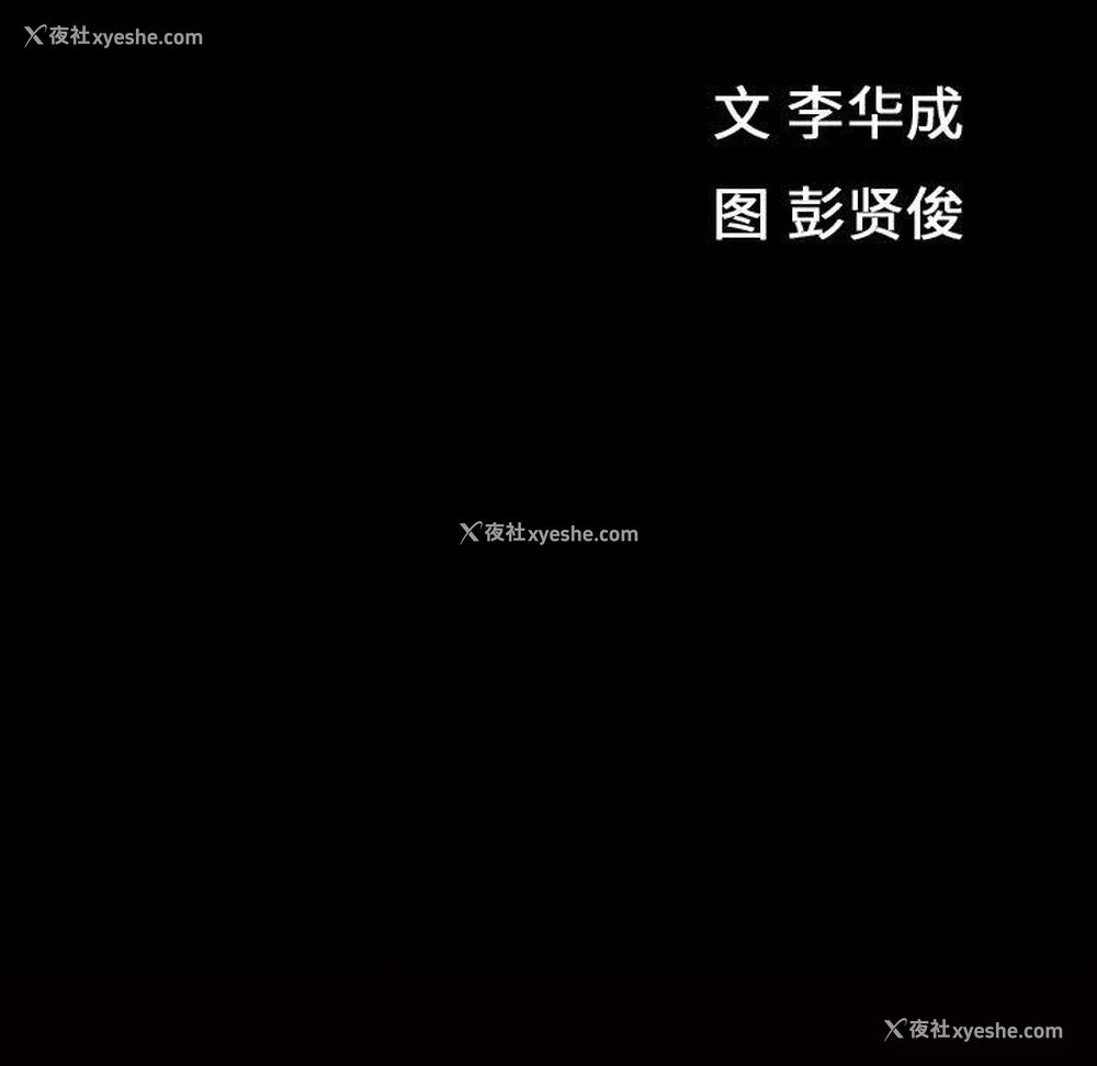 12P - 特殊礼物