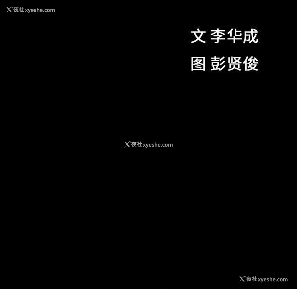 12P - 特殊礼物