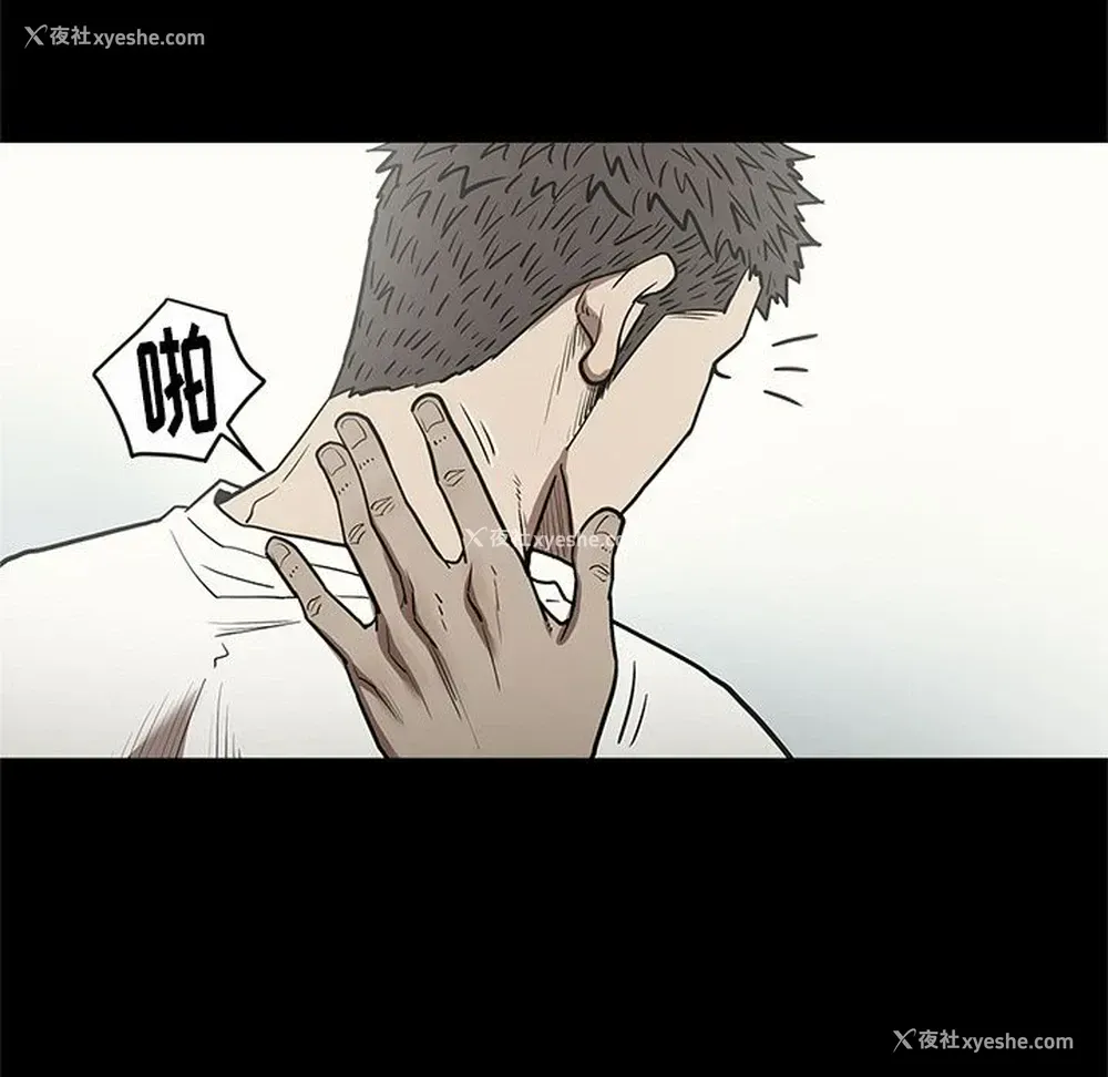 54P - 七公主
