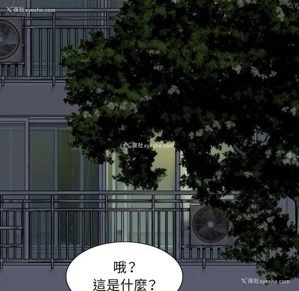52P - 女性友人