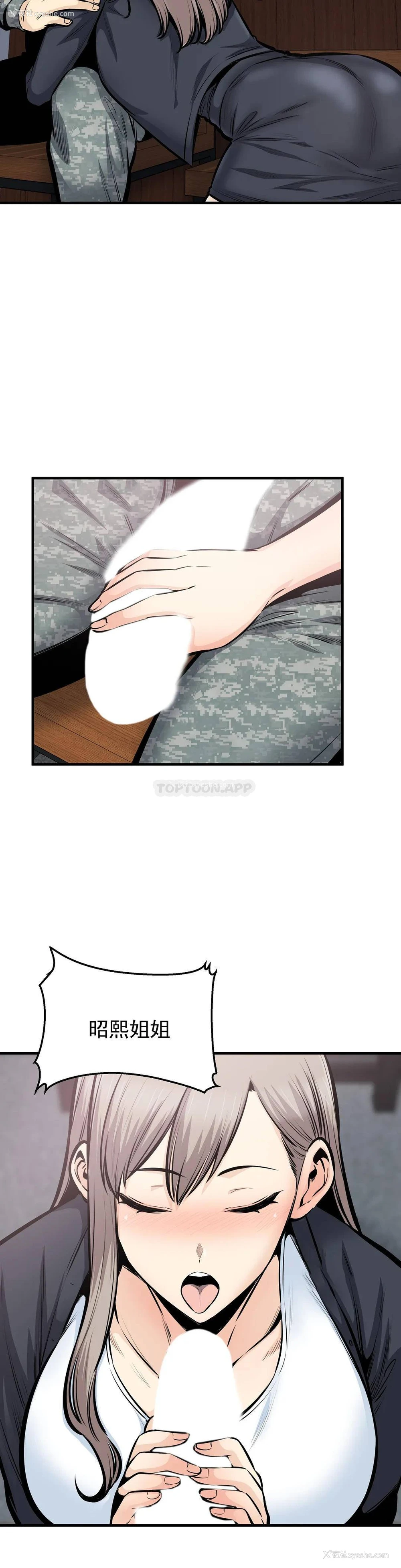 4P - 探视