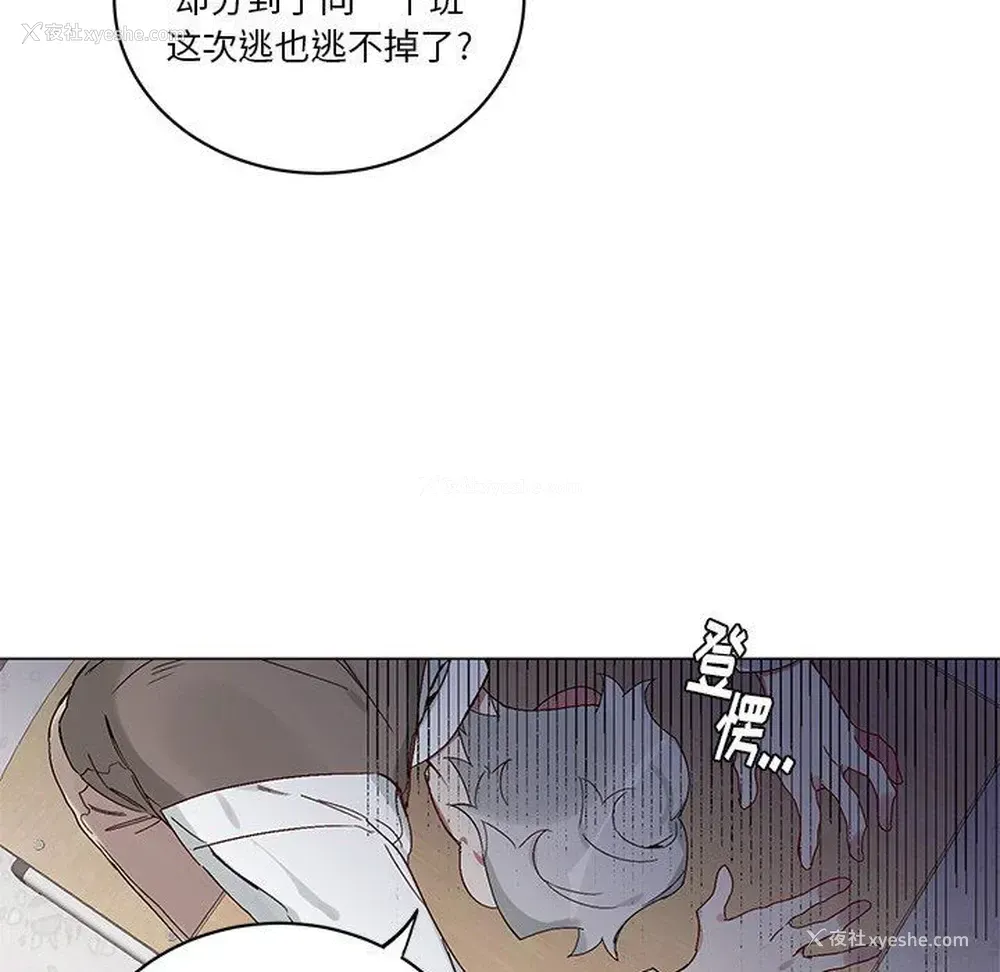 27P - 悦耳的花歌