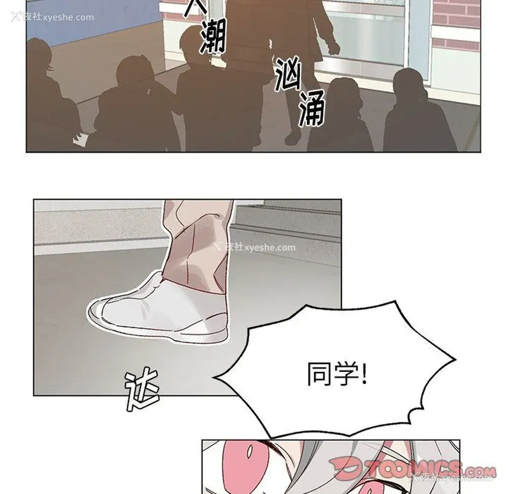11P - 悦耳的花歌
