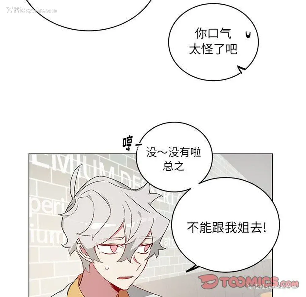 28P - 悦耳的花歌