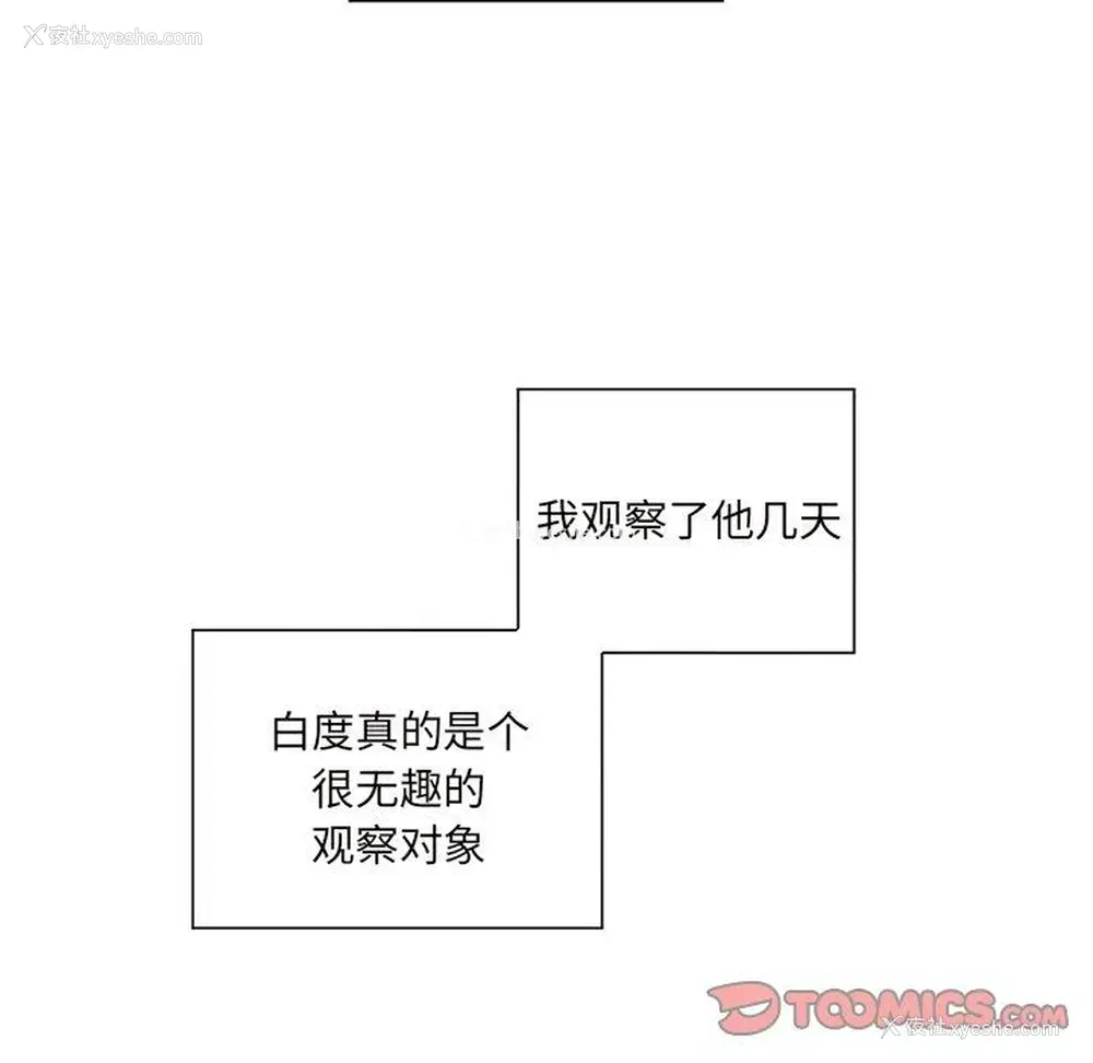 31P - 悦耳的花歌