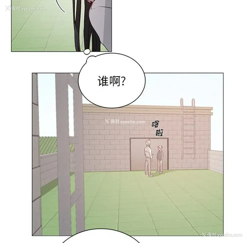 24P - 悦耳的花歌