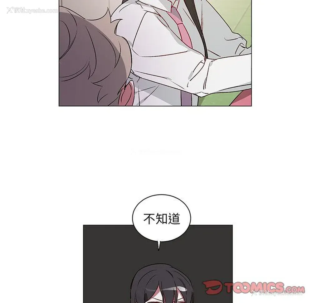 40P - 悦耳的花歌