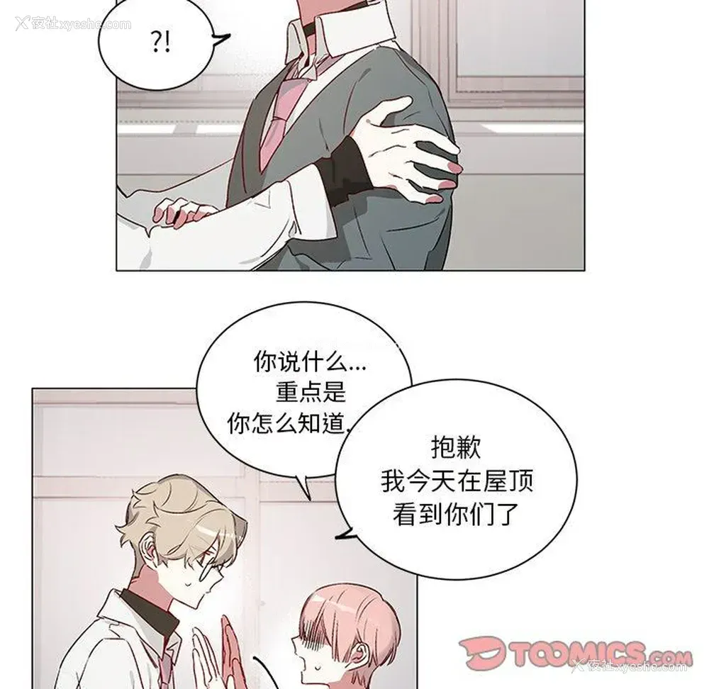 19P - 悦耳的花歌