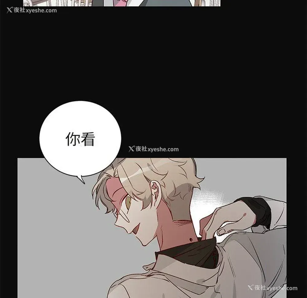 24P - 悦耳的花歌