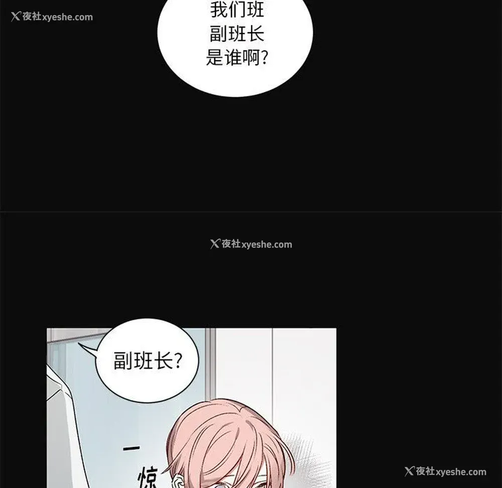 40P - 悦耳的花歌