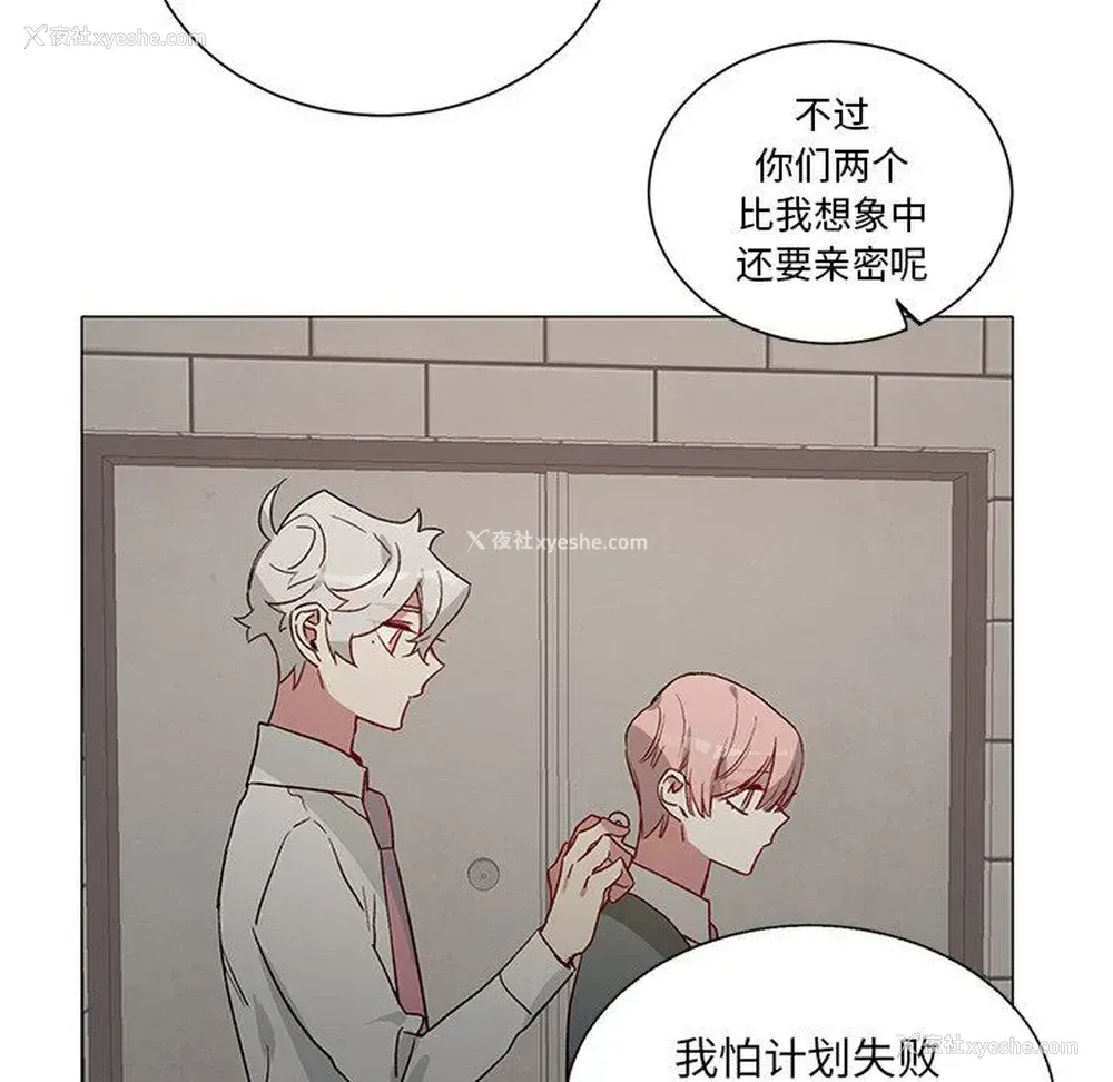 28P - 悦耳的花歌