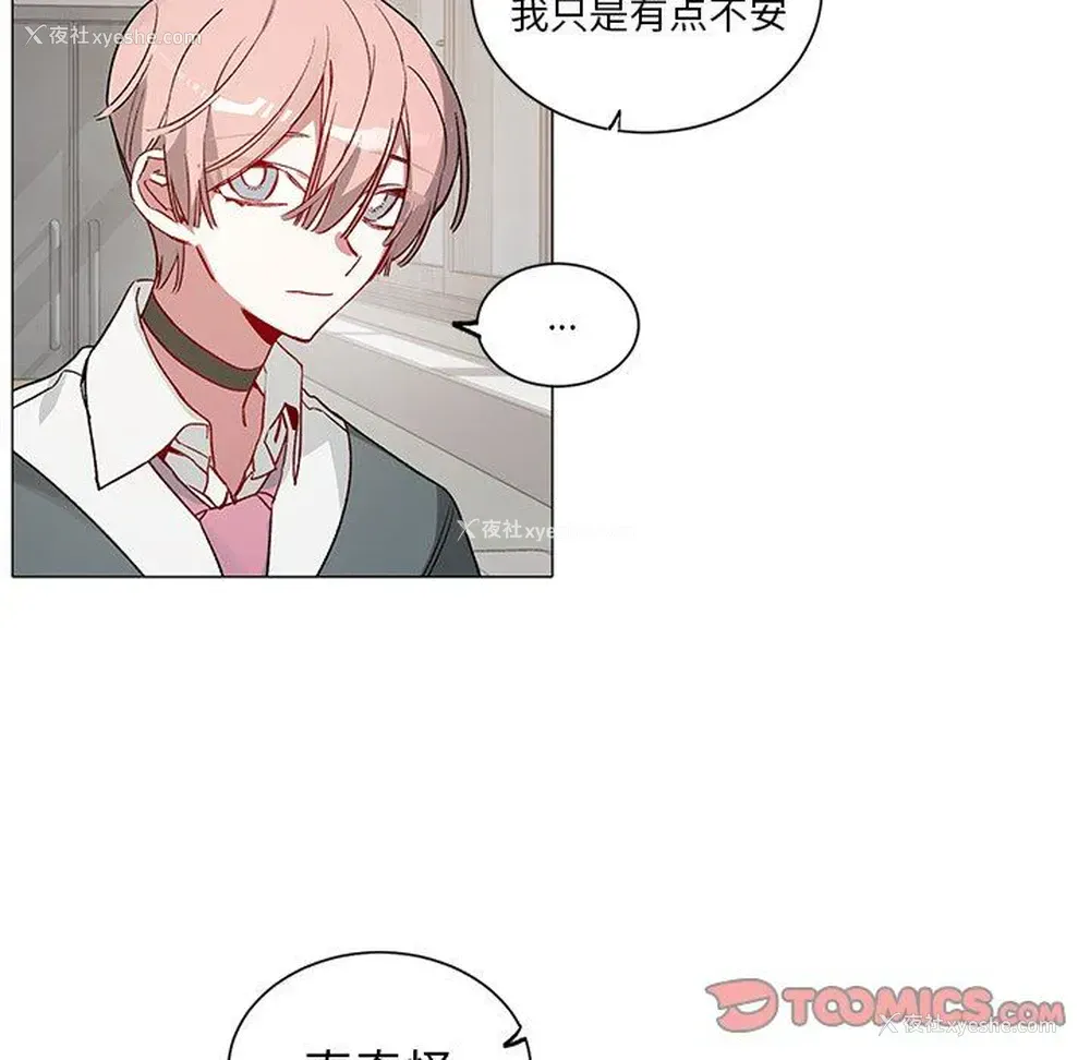 19P - 悦耳的花歌