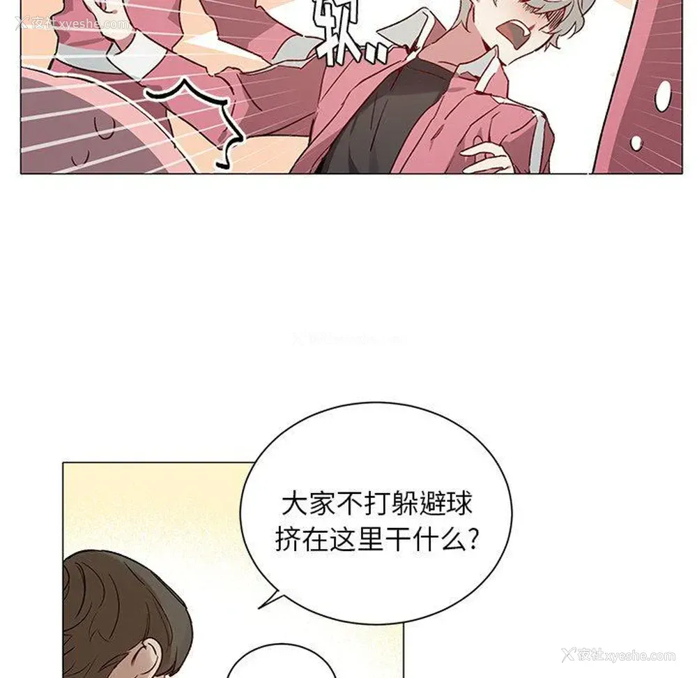 23P - 悦耳的花歌