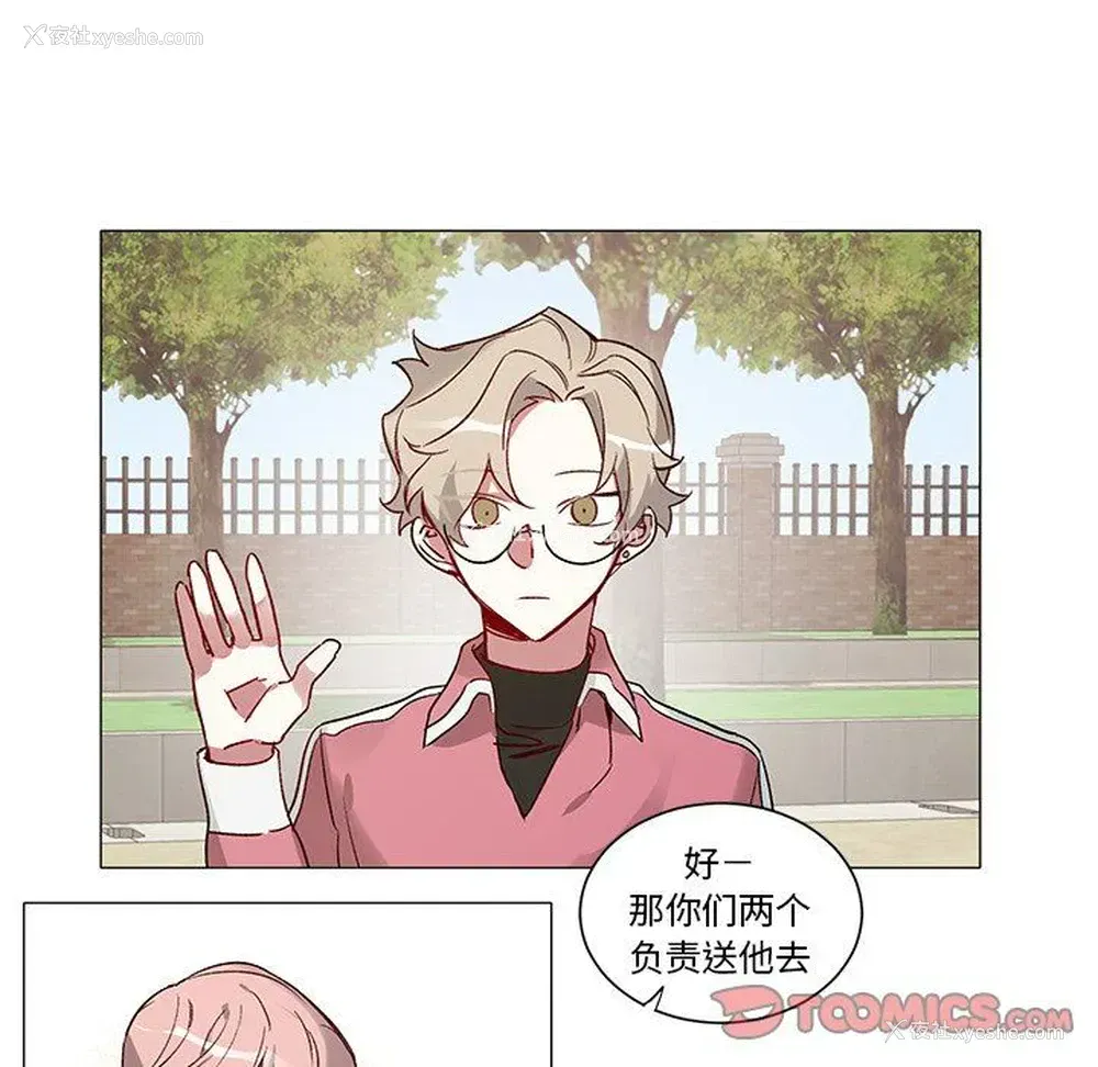 28P - 悦耳的花歌