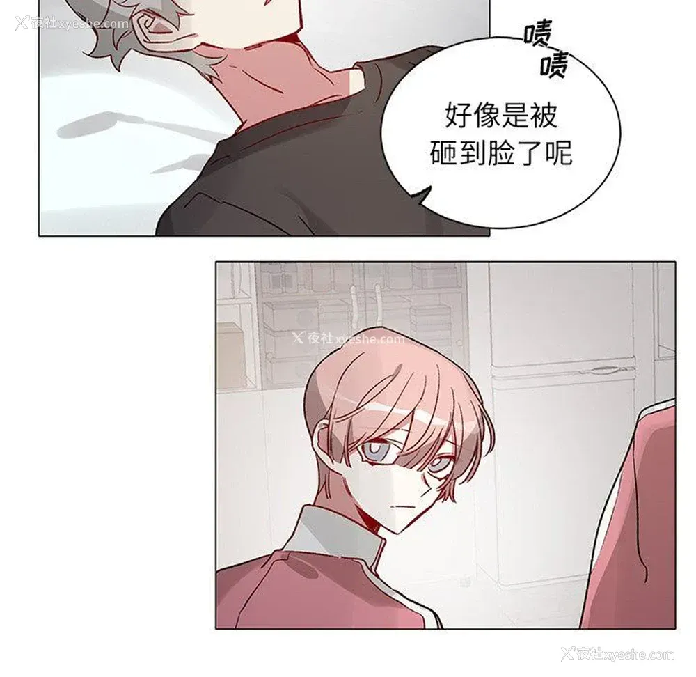 41P - 悦耳的花歌