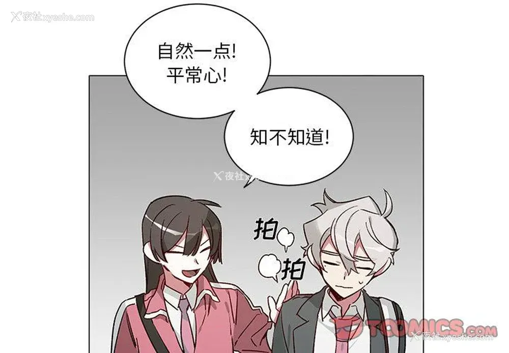 4P - 悦耳的花歌