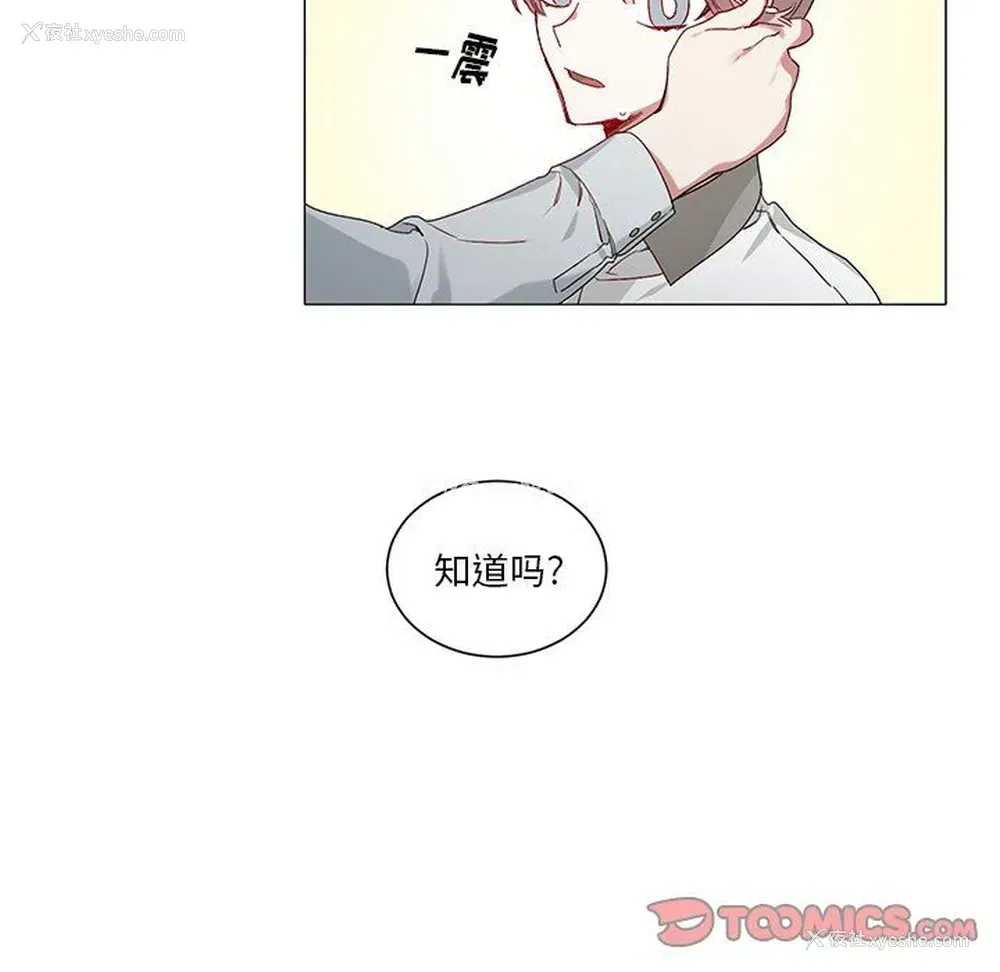 21P - 悦耳的花歌