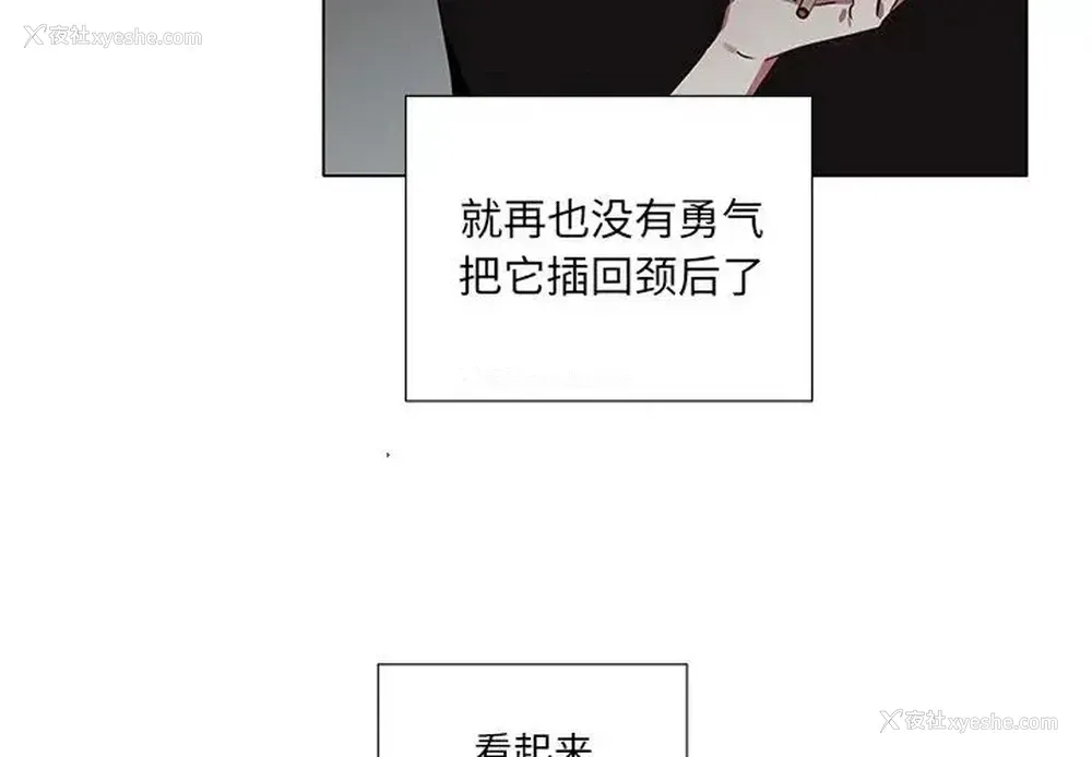 4P - 悦耳的花歌