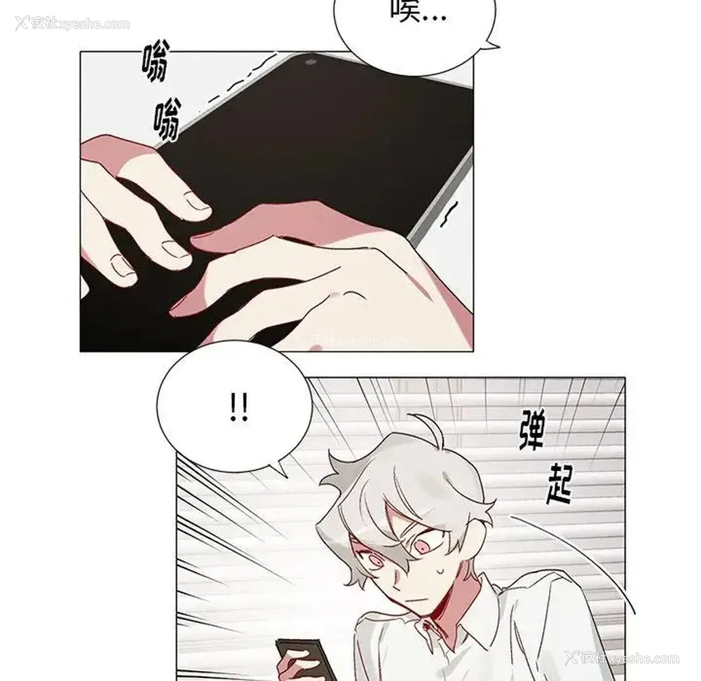 28P - 悦耳的花歌