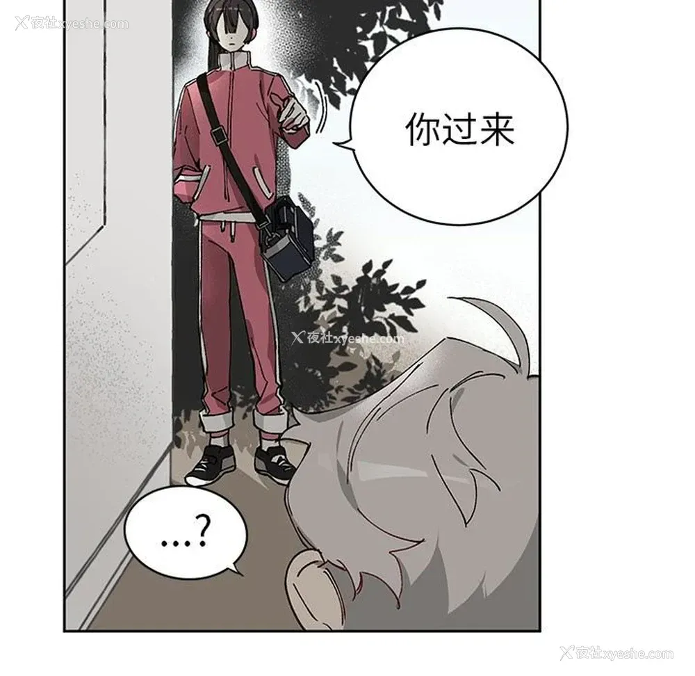 48P - 悦耳的花歌