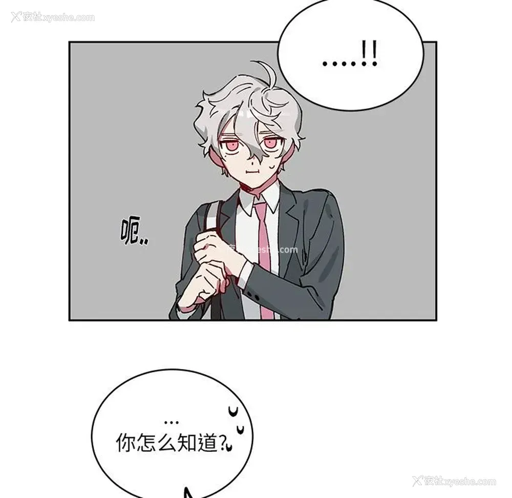 55P - 悦耳的花歌