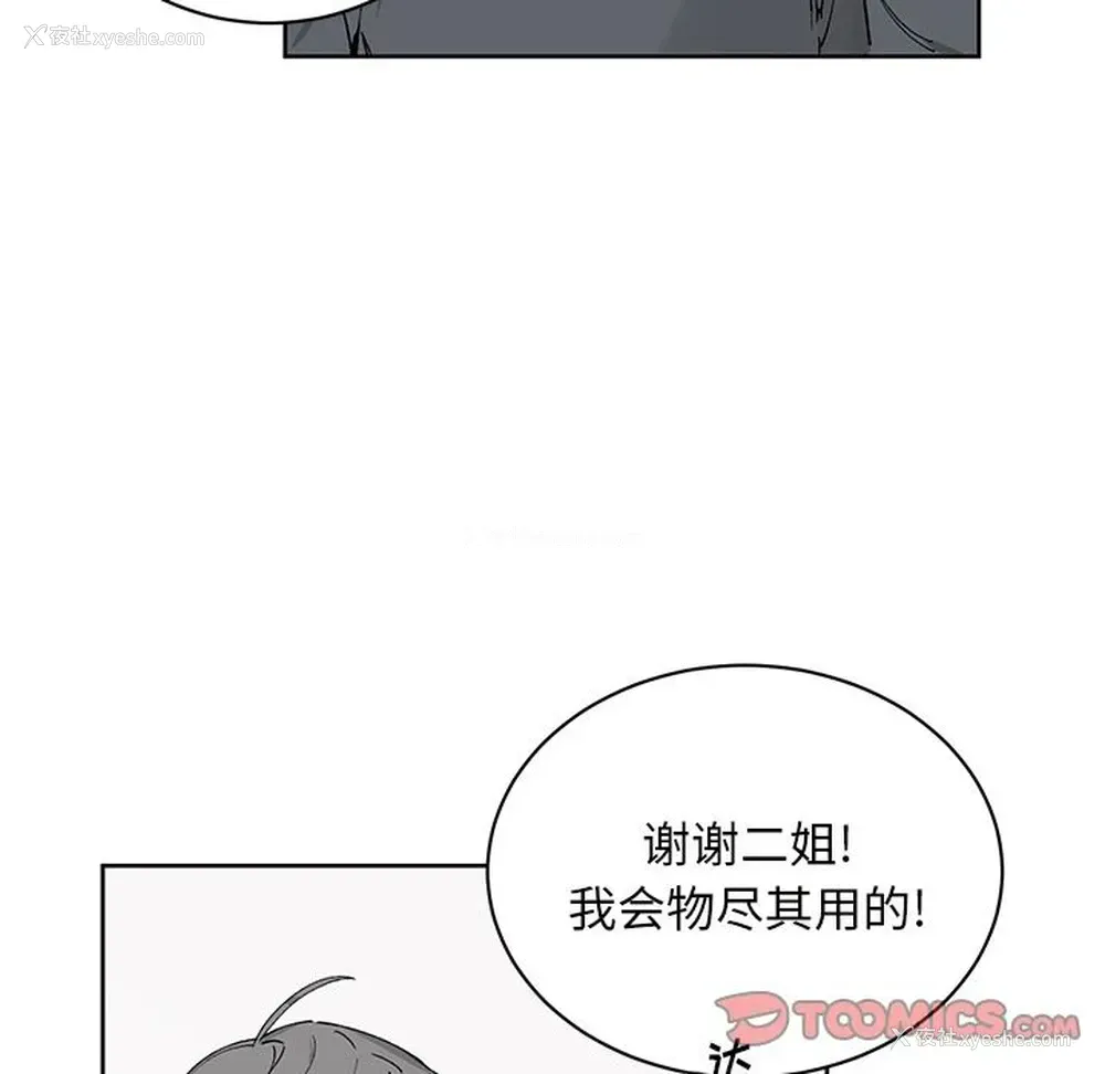 43P - 悦耳的花歌