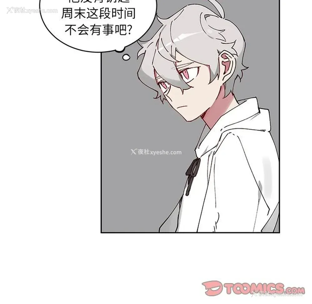 25P - 悦耳的花歌