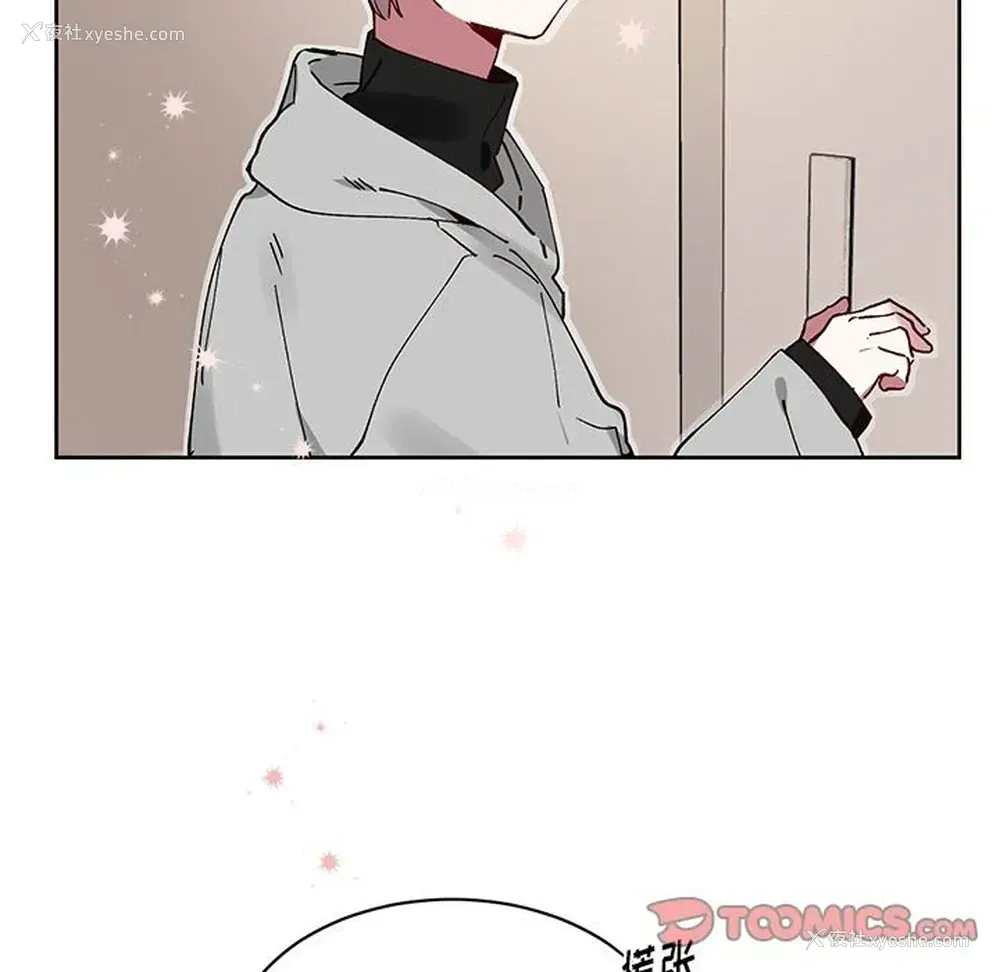 40P - 悦耳的花歌