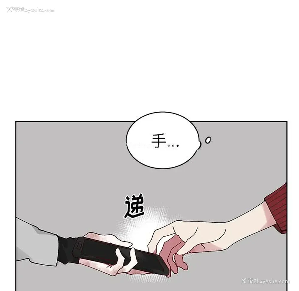 23P - 悦耳的花歌