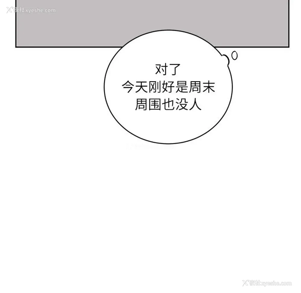24P - 悦耳的花歌