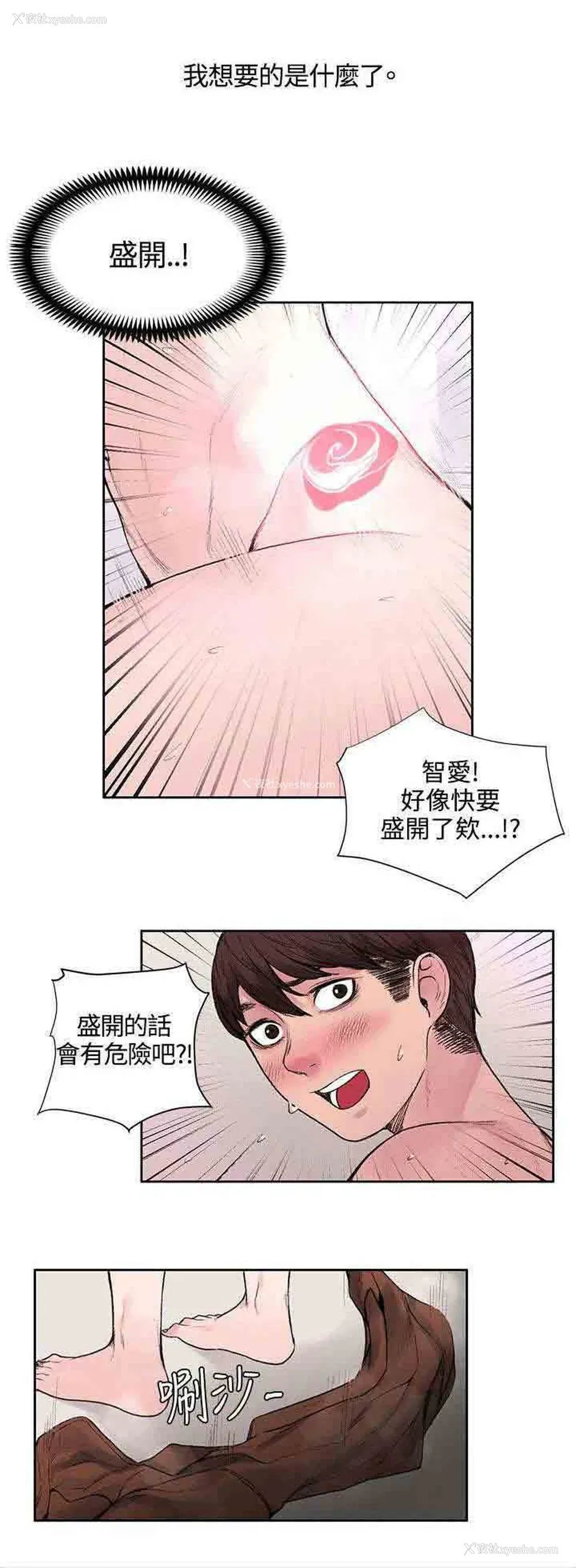 12P - 甜蜜的香气