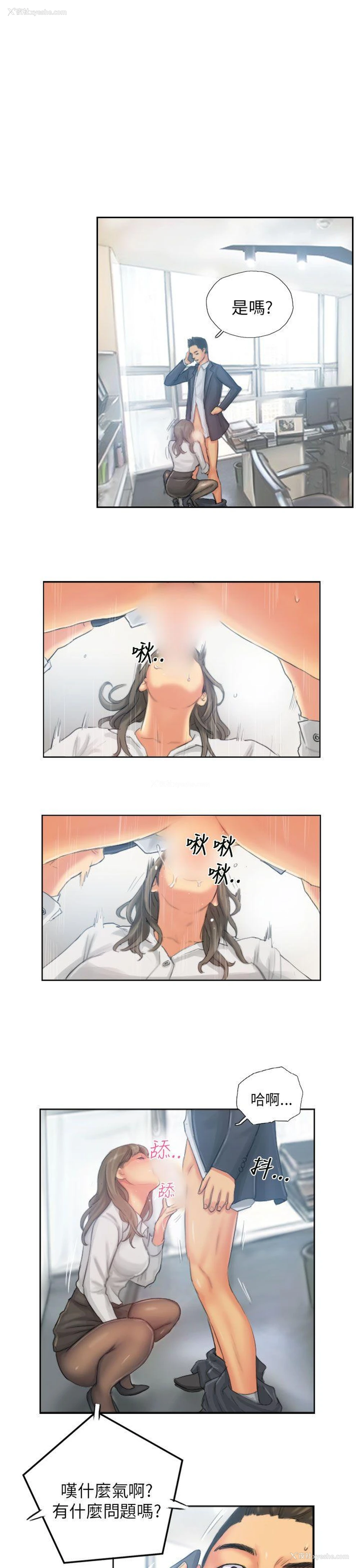 19P - NEW FACE