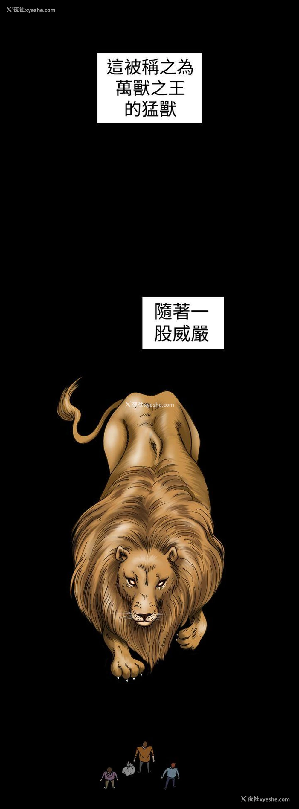 22P - 上流社会