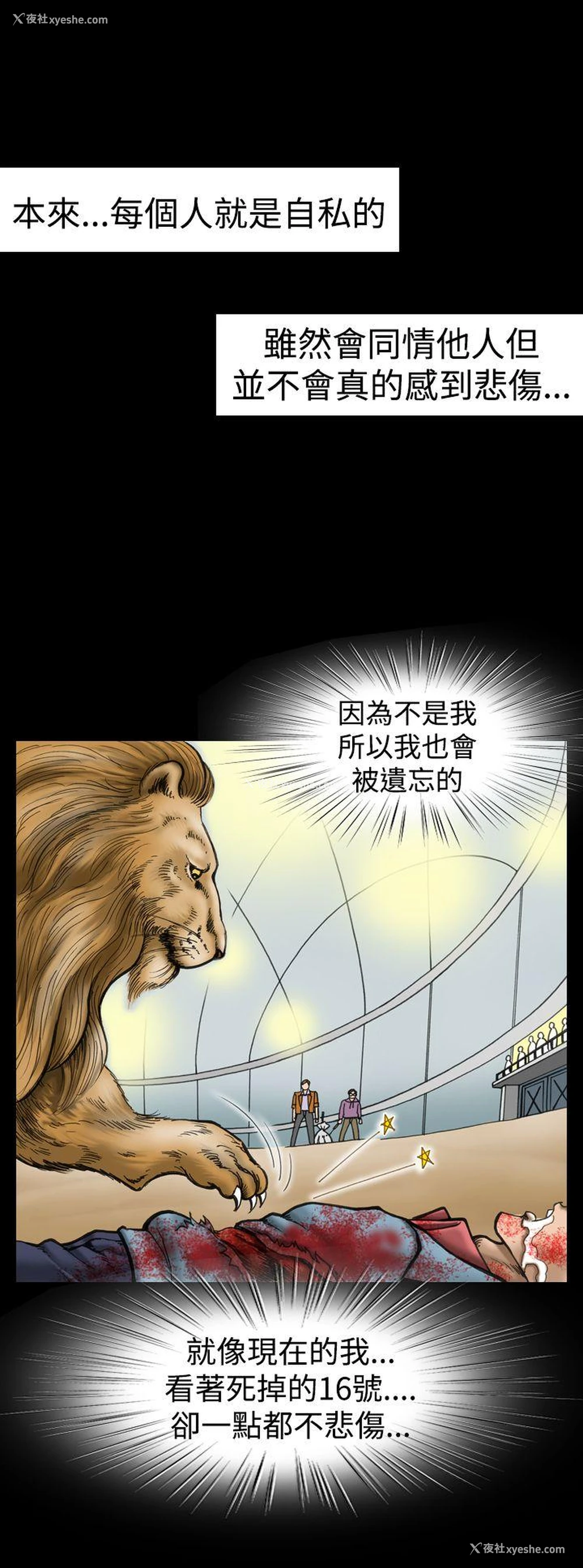 12P - 上流社会