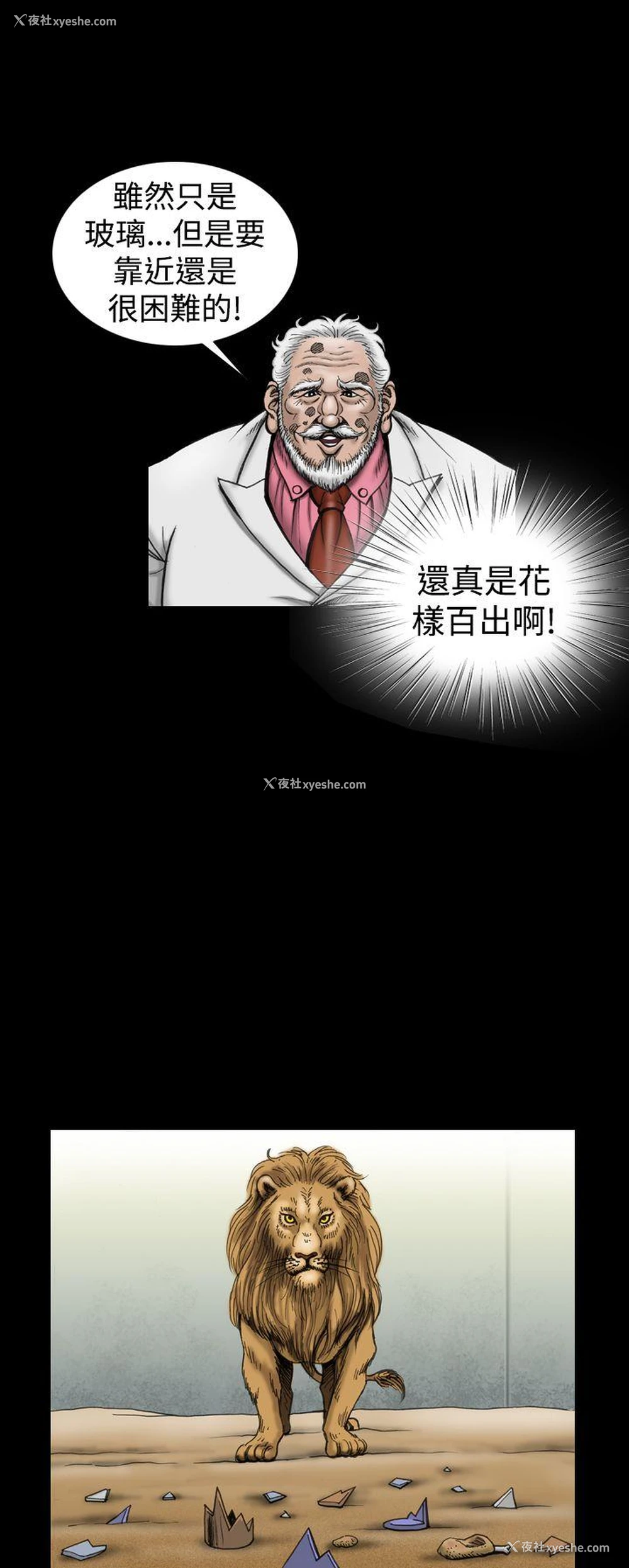 12P - 上流社会