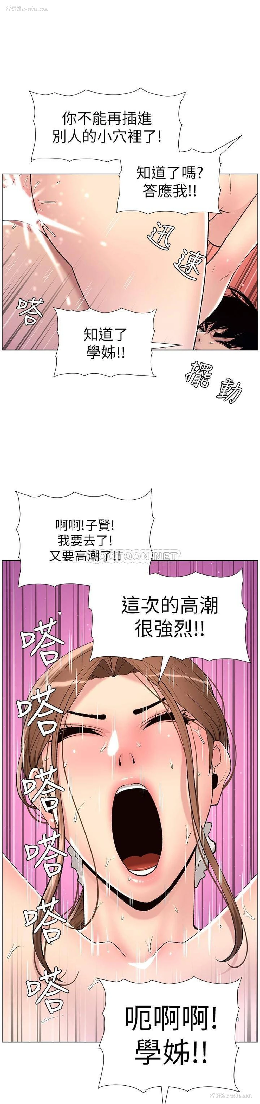 29P - 帝王App