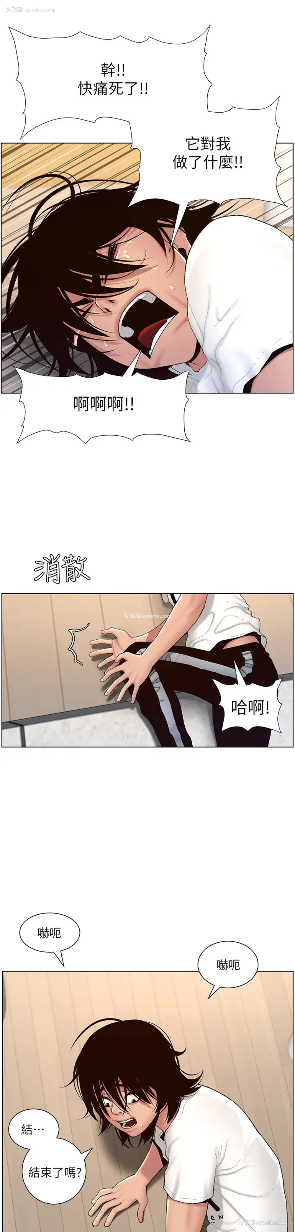 15P - 帝王App