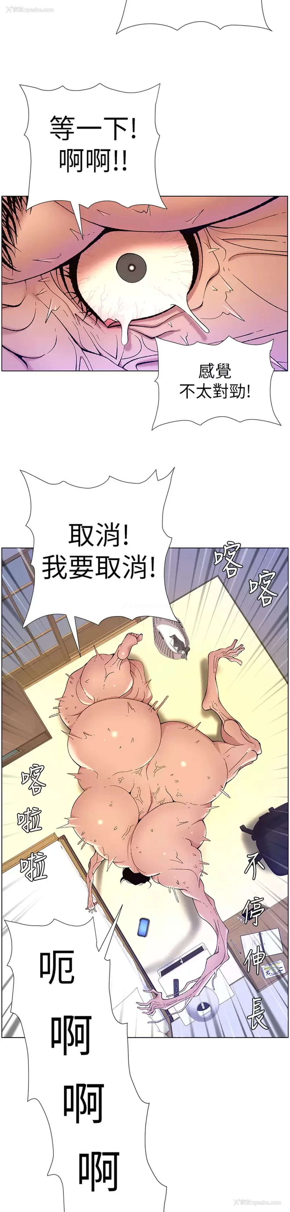 31P - 帝王App