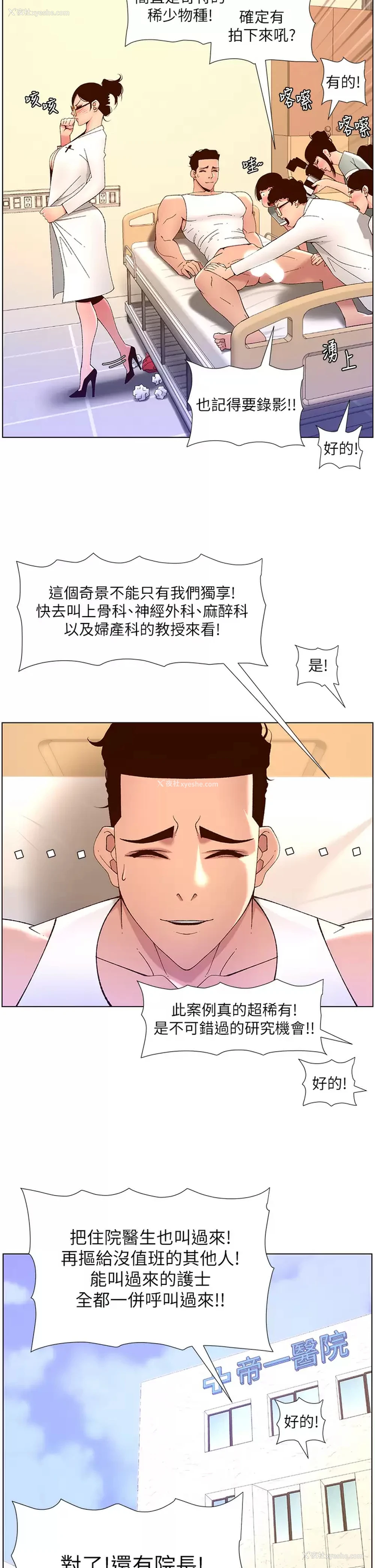 31P - 帝王App