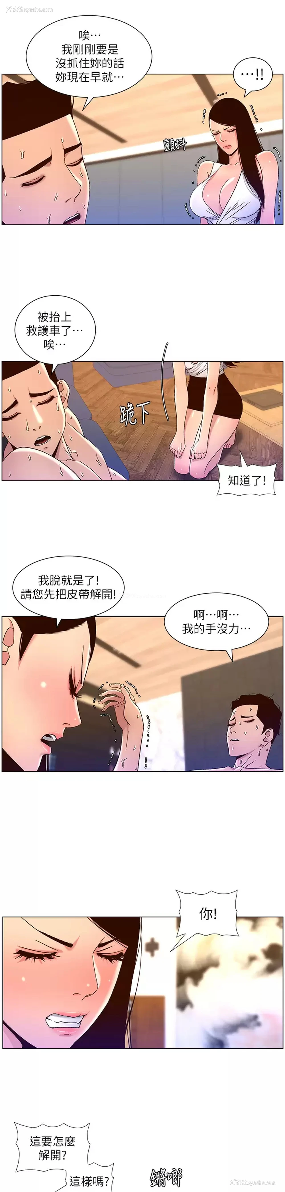 17P - 帝王App