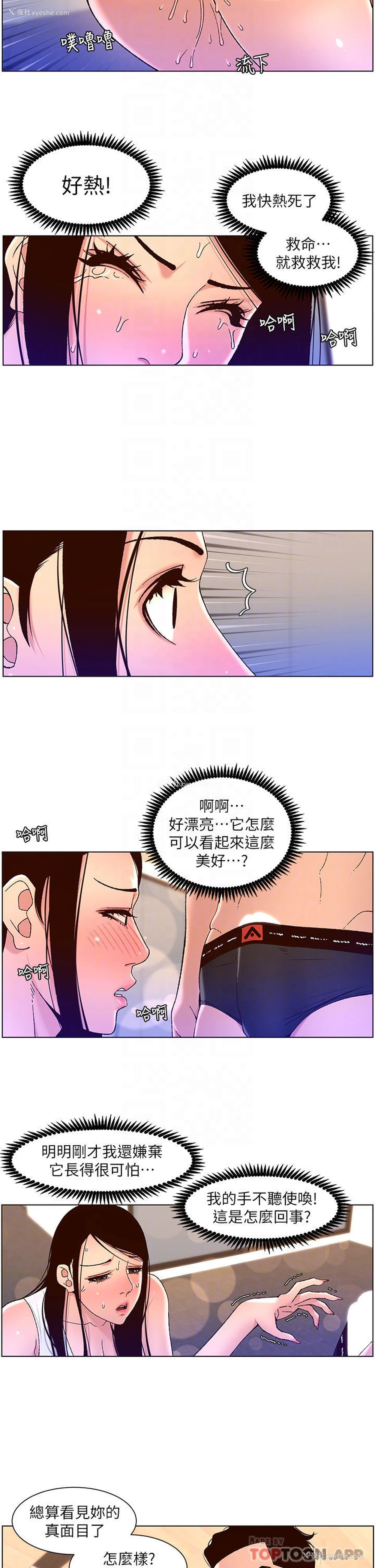 12P - 帝王App