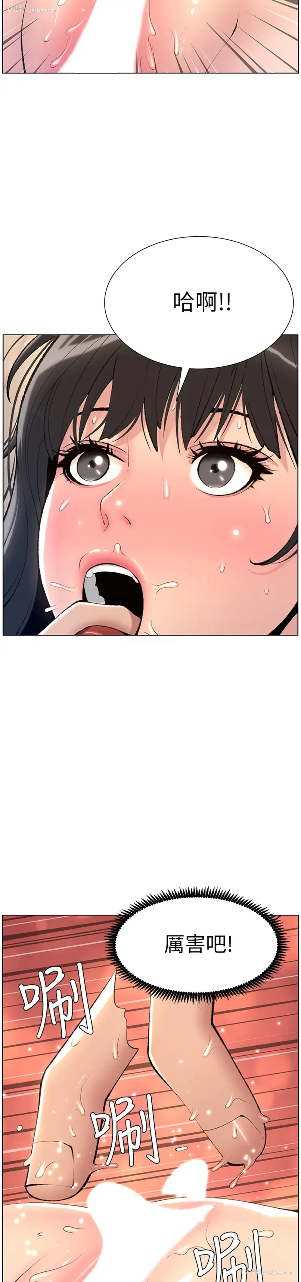 23P - 帝王App