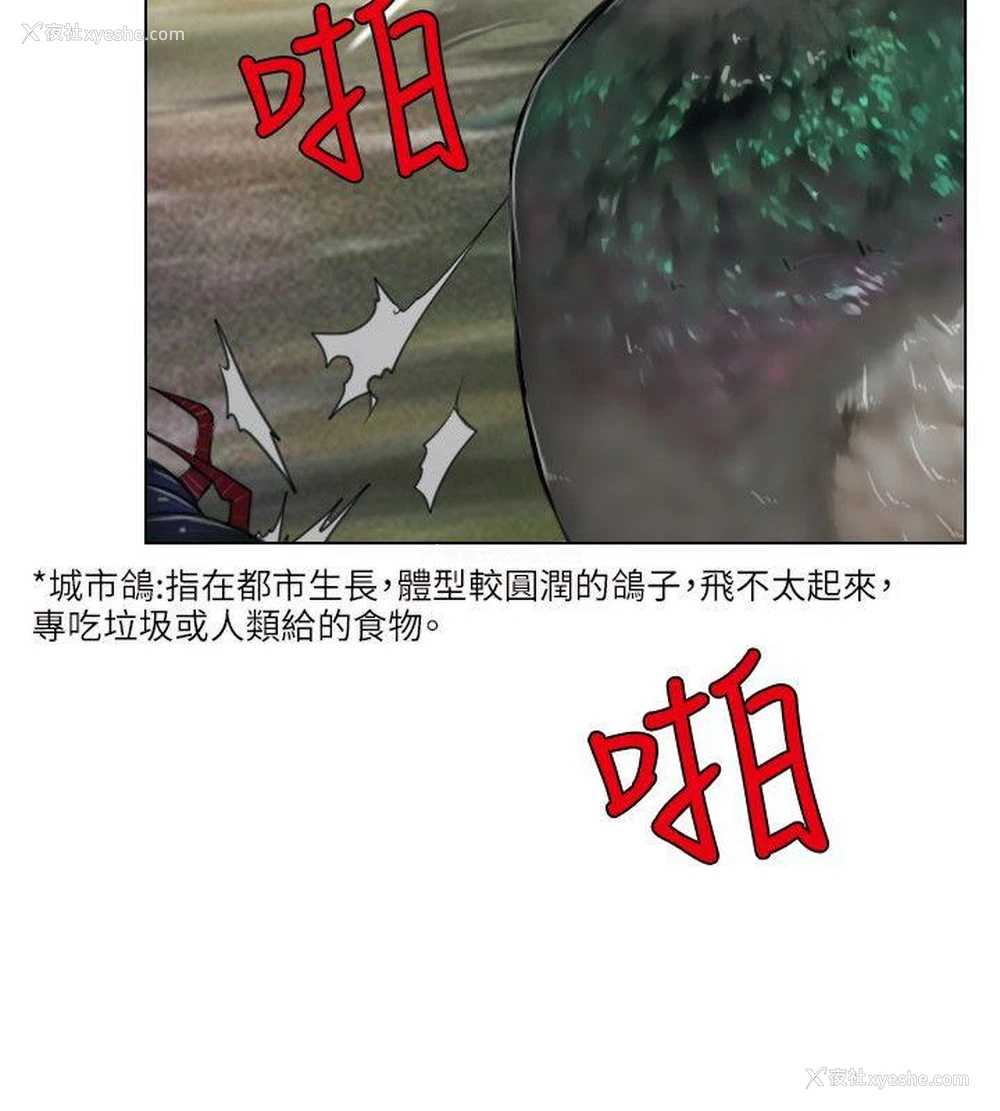 33P - 初恋物语